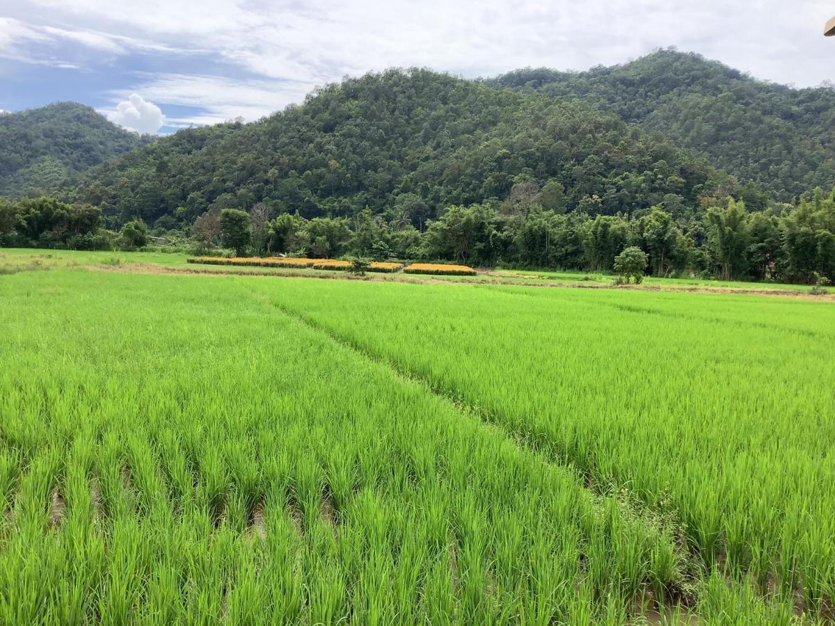 บ้านสวนวิวทุ่ง Ban Mae Sap Nua Exterior foto