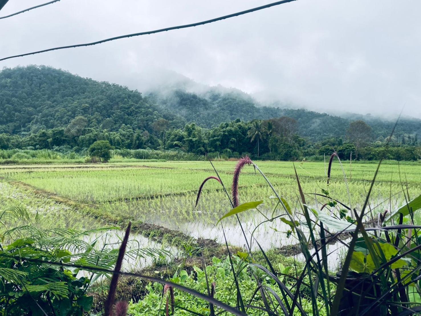 บ้านสวนวิวทุ่ง Ban Mae Sap Nua Exterior foto