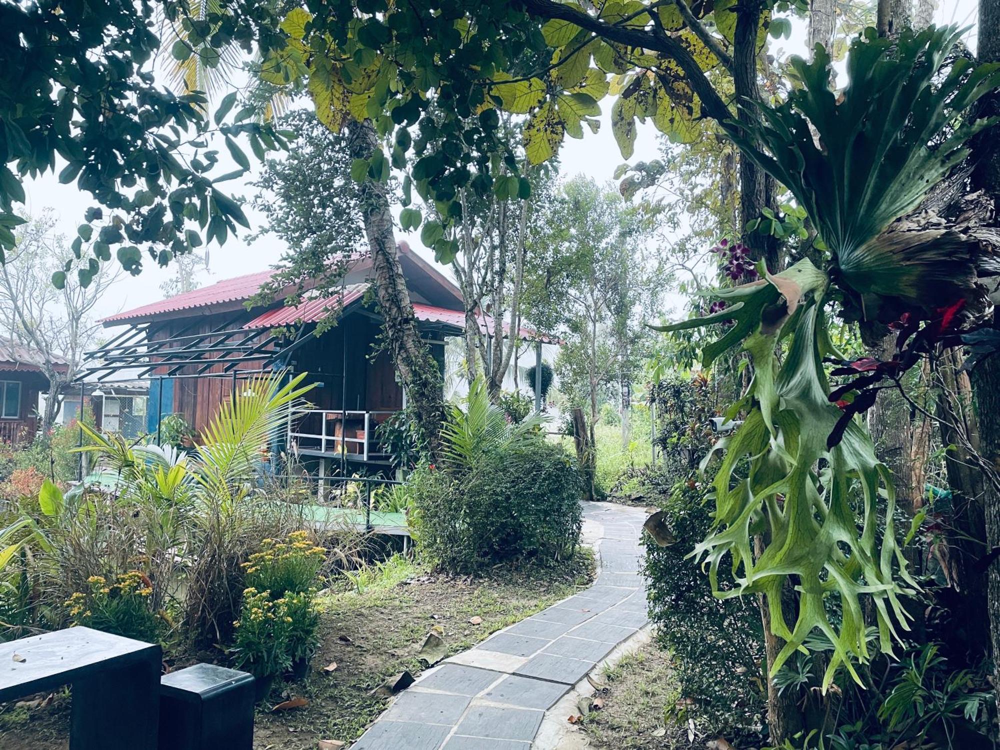 บ้านสวนวิวทุ่ง Ban Mae Sap Nua Exterior foto